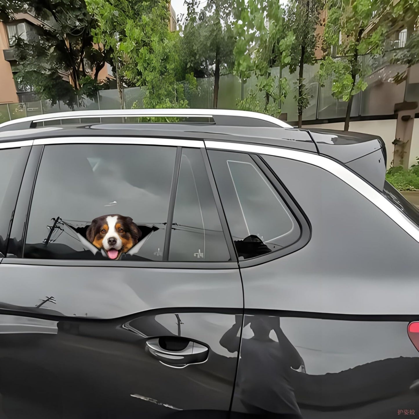 2PCS Car Sticker Brown Australian Shepherd 3D Ripped Sticke, Funny Bumper/ Car Window Waterproof Decor