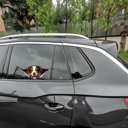 2PCS Car Sticker Brown Australian Shepherd 3D Ripped Sticke, Funny Bumper/ Car Window Waterproof Decor