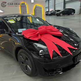 Big Red Car Present Ribbon Bow For Sale